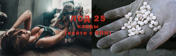 стафф Дмитров