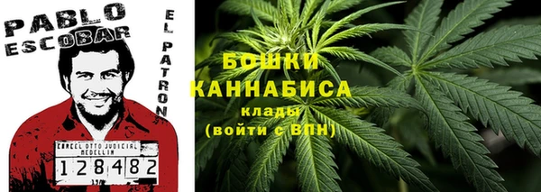 мдпв Дмитровск