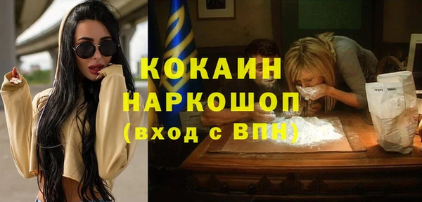 дживик Кропоткин