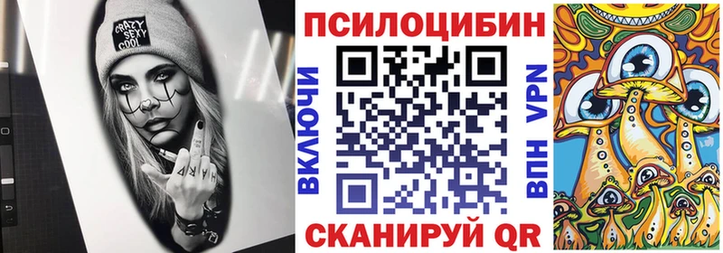 Купить  Заволжье  Псилоцибиновые грибы ЛСД 